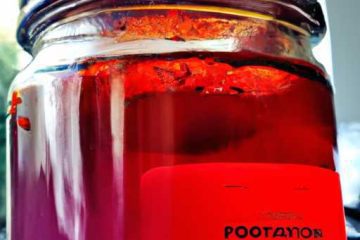 Exploring the Key Ingredients in Kombucha Tea