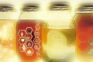 The Best Kombucha Making Jars: A Comprehensive Guide