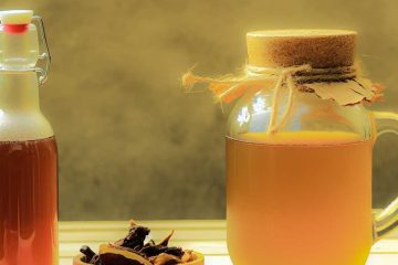 Exploring the Key Ingredients of Kombucha Tea