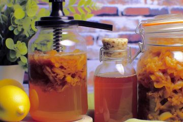 DIY Kombucha: How to Make it Without a Scoby