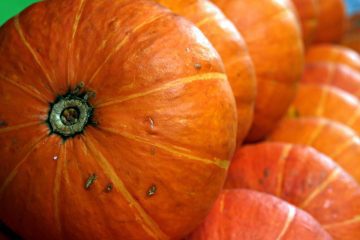 kabocha squash