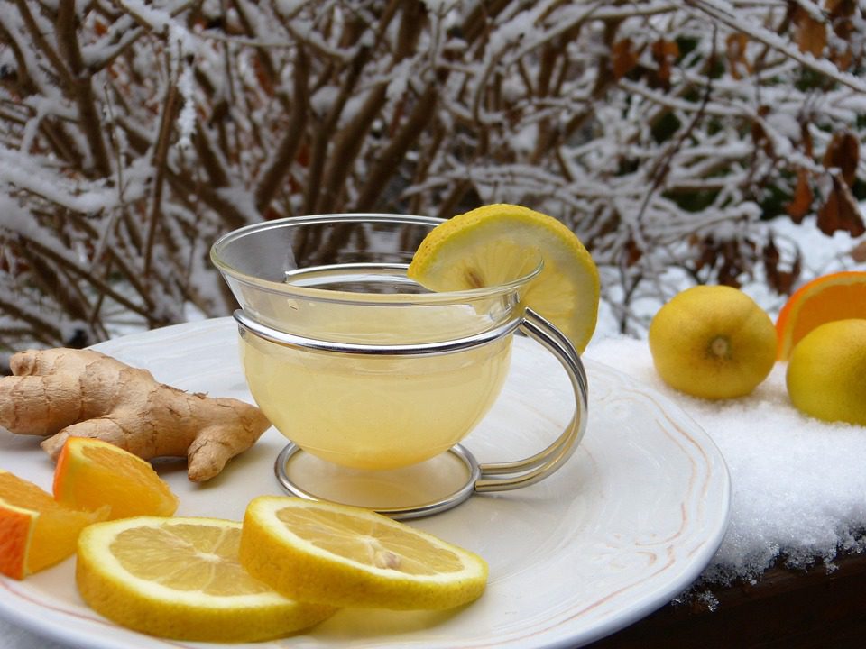 kombucha lemon ginger