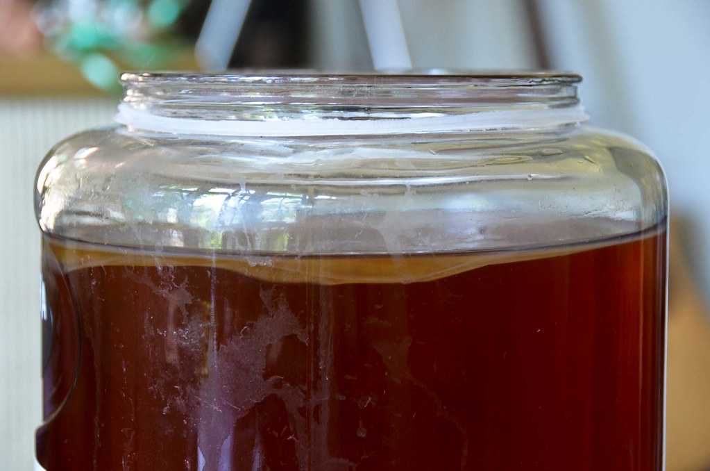 Unveiling ​the Mysteries of‌ Kombucha Tea ⁤Mushroom