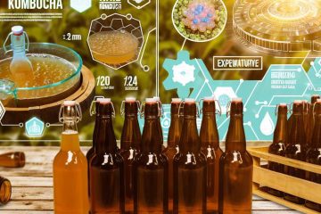 The Rise of Brew Hard Kombucha: What You Need to Know