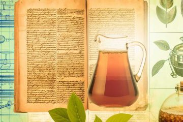 Uncovering the Ancient Origins of Kombucha Tea