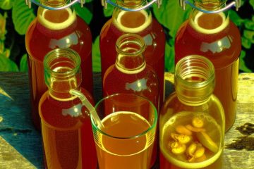 kombucha everyday benefits