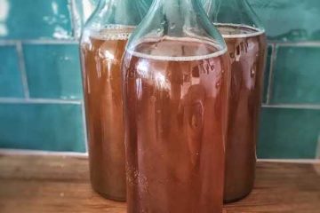 kombucha tea liver damage