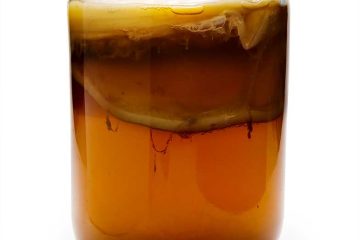 kombucha tea taste