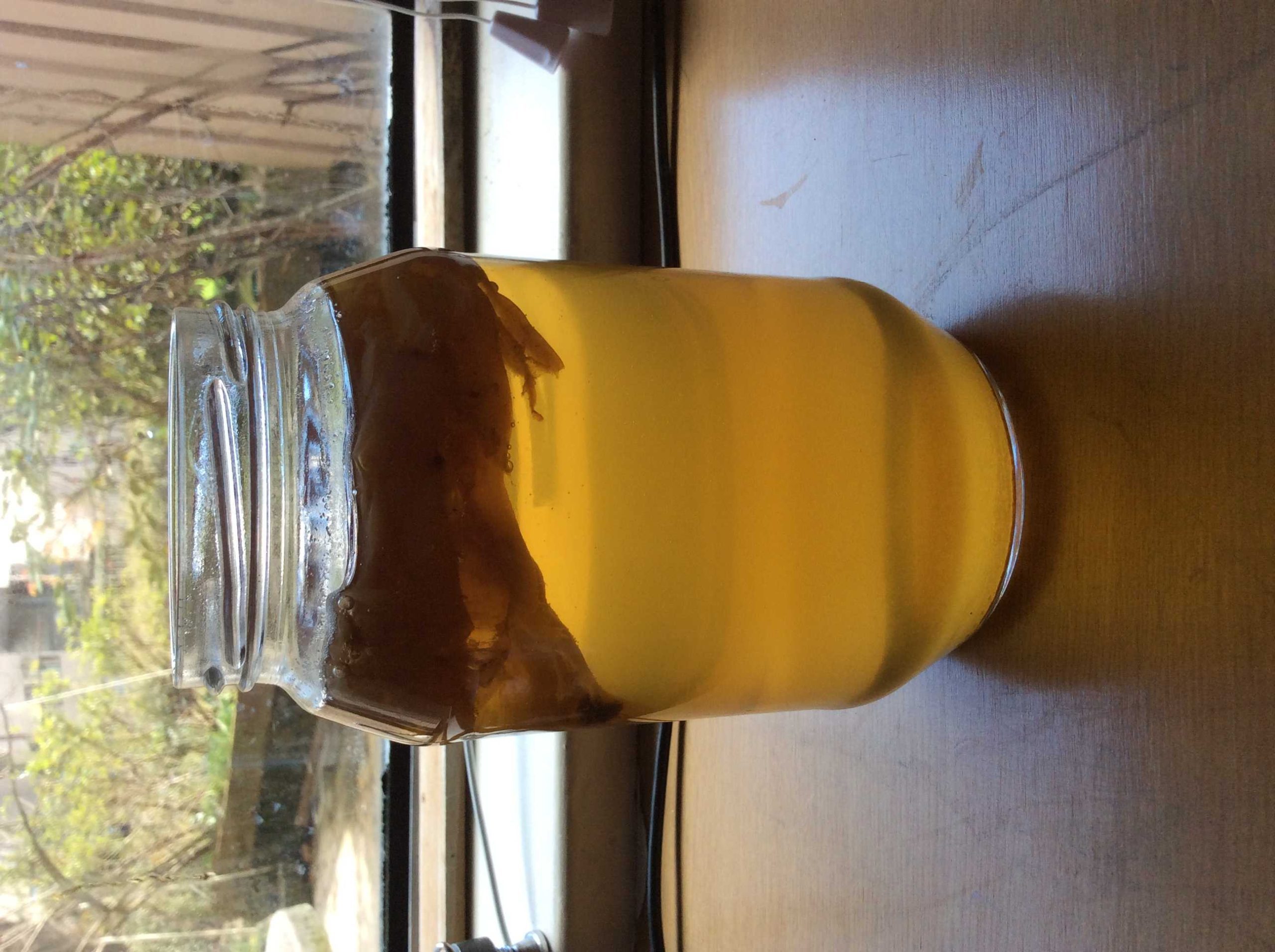 kombucha tea to sugar ratio