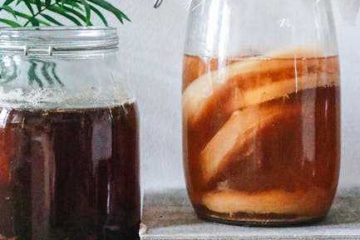 kombucha tea research