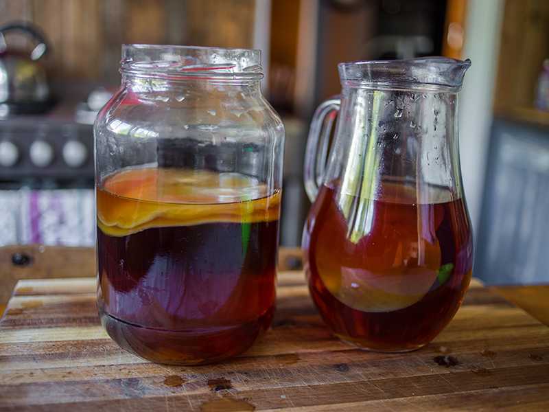 Unlocking the Potential ⁤of Kombucha Tea for Immune Support