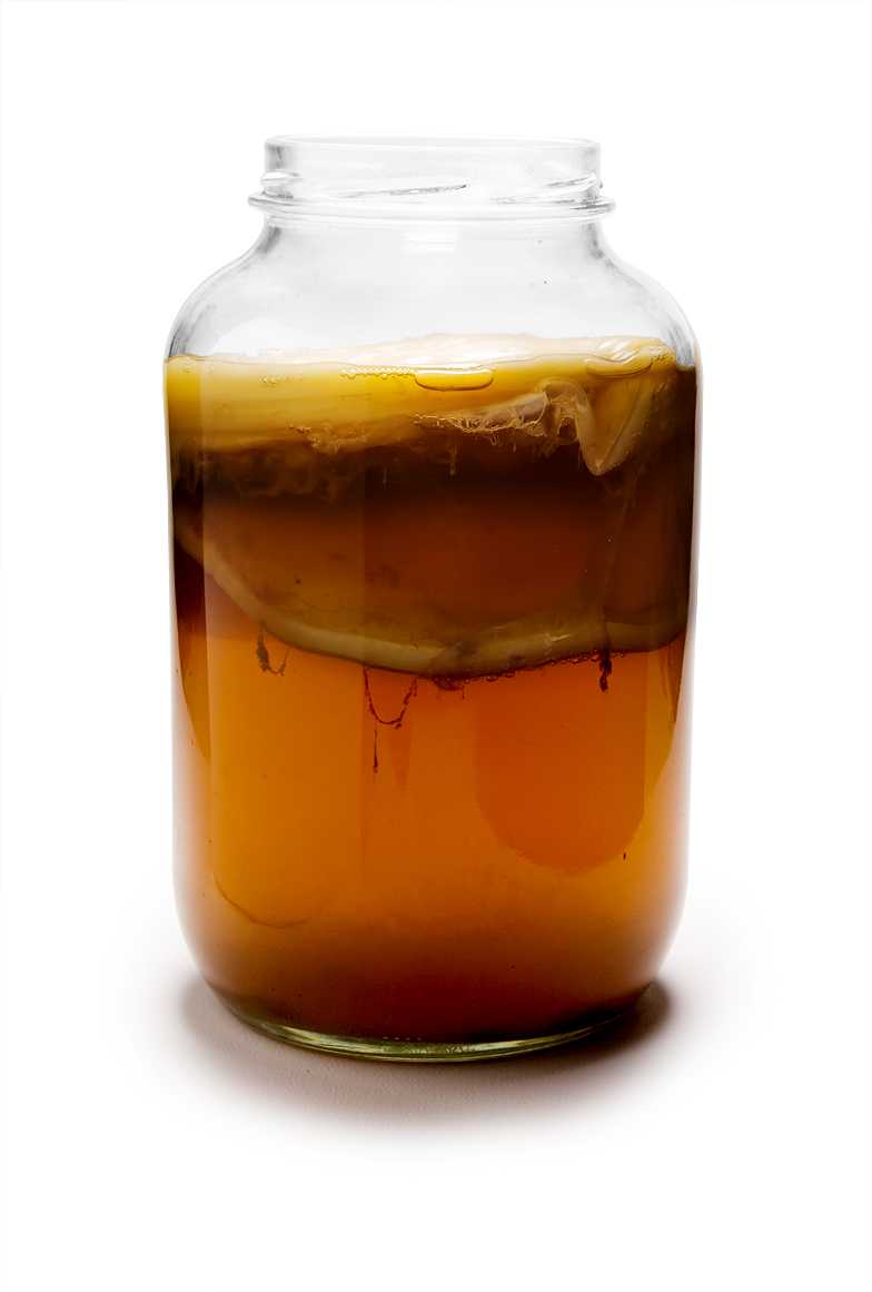 Choosing the ⁣Right ⁢Kombucha Tea for​ Combatting Yeast Infections