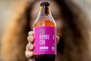 kombucha benefits study