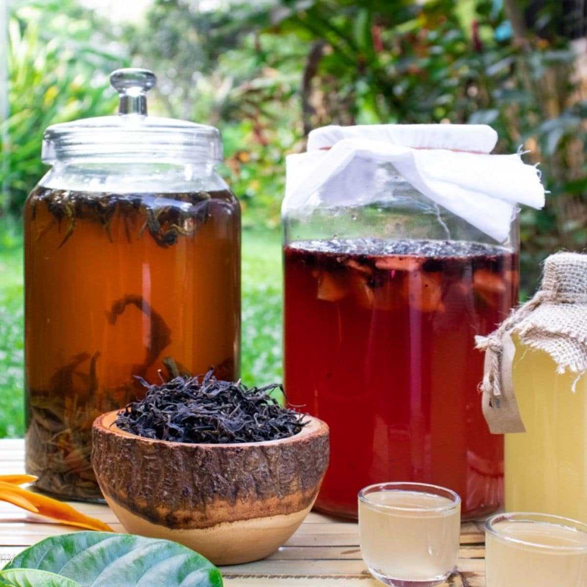 Incorporating Kombucha Tea ​into Your Daily Yogi⁣ Routine